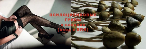дживик Нижневартовск