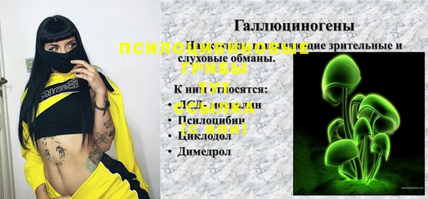 ПСИЛОЦИБИНОВЫЕ ГРИБЫ Кострома