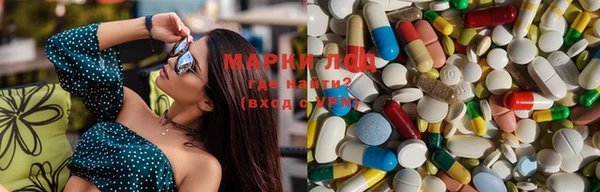 mdpv Мурманск