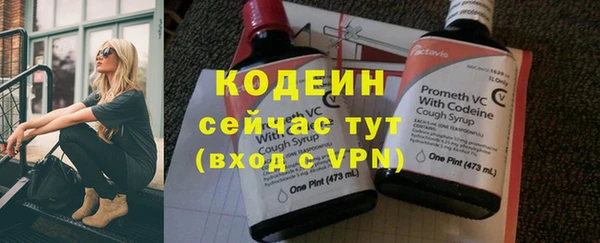 apvp Ельня