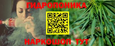 шишки Кимры