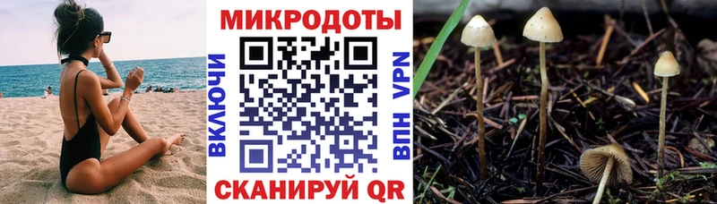 Псилоцибиновые грибы Magic Shrooms  хочу   Лыткарино 