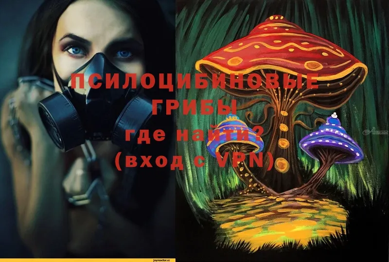 Галлюциногенные грибы Magic Shrooms  MEGA зеркало  Лыткарино 