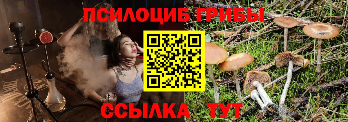 Лыткарино  Псилоцибиновые грибы мицелий  Вход с VPN 