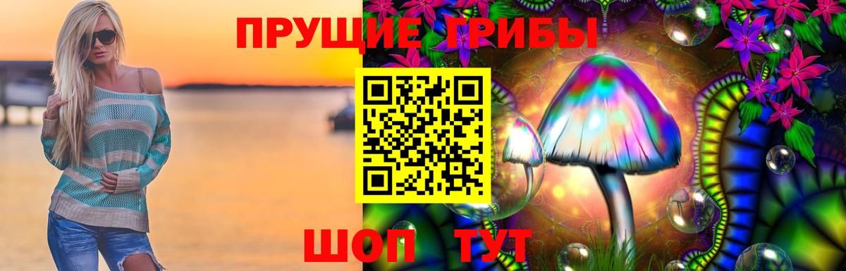 Псилоцибиновые грибы Psilocybe Лыткарино